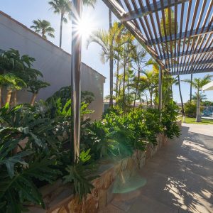 exterior-relaxia-los-girasoles